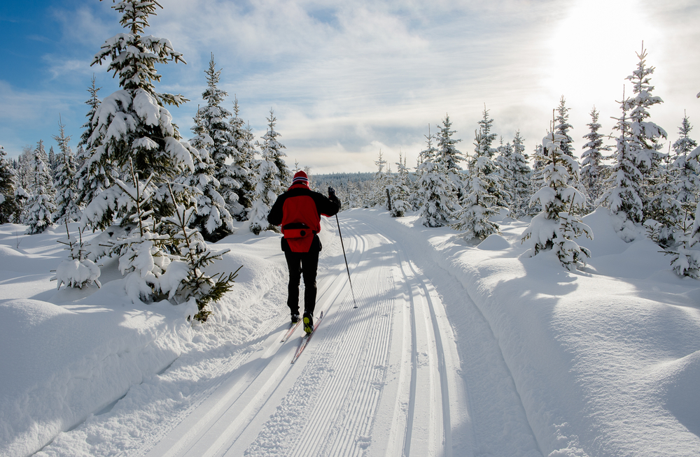 Skiing,In,Snow,Covered,Landscape,,Norway